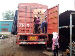 供应顺风无烟木炭与机制木炭厂寻源指南